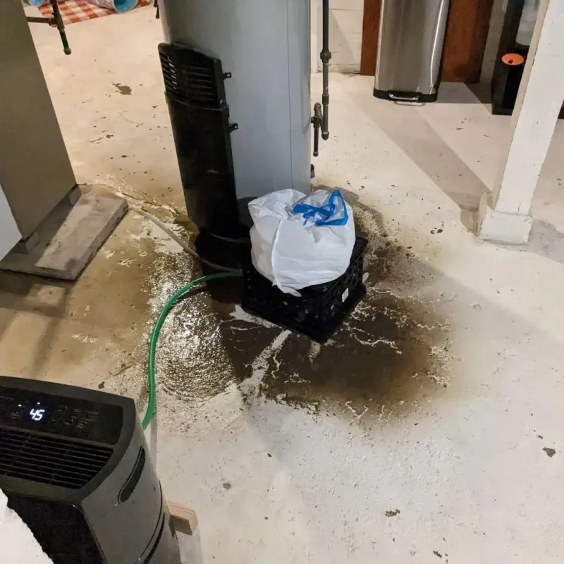 Sewage Backup Cleanup Service in Fort Oglethorpe, GA